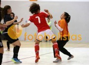 Lourosa-Amupb