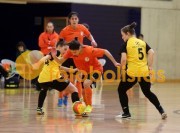 Milheiroense-�gueda