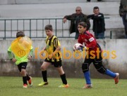 Veiros-Vilamaiorense
