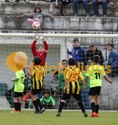Veiros-Vilamaiorense