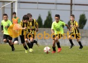 Veiros-Vilamaiorense
