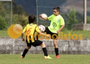 Veiros-Vilamaiorense