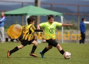 Veiros-Vilamaiorense