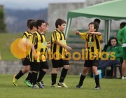 Veiros-Vilamaiorense