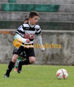 Veiros-Vilamaiorense