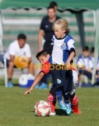 Mosteir�-Canedo
