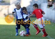 Mosteir�-Canedo