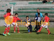 Mosteir�-Canedo
