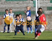 Mosteir�-Canedo