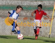Mosteir�-Canedo