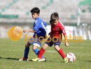 Feirense-FC Porto Juniores