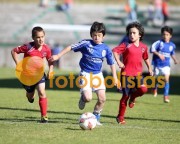 Feirense-FC Porto Juniores