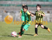 Beira Mar-Freamunde