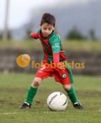 Arouca-Bustelo