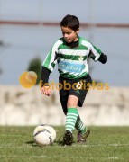 Arouca-Bustelo