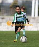 Arouca-Bustelo