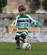 Arouca-Bustelo