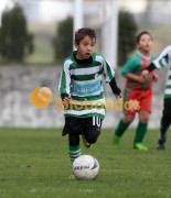 Arouca-Bustelo