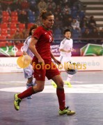 Lob�o-S Martinho Iniciados