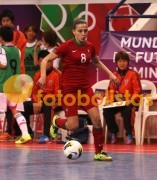 Lob�o-S Martinho Iniciados