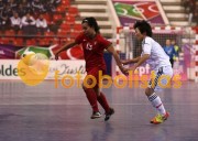 Lob�o-S Martinho Iniciados