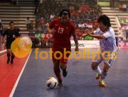 Lob�o-S Martinho Iniciados