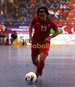 Lob�o-S Martinho Iniciados