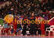 Lob�o-S Martinho Iniciados